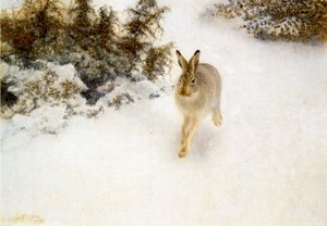 Vinterhare